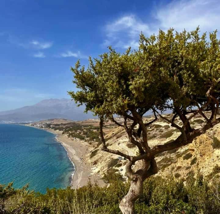 Ilios Kalamaki Exterior foto